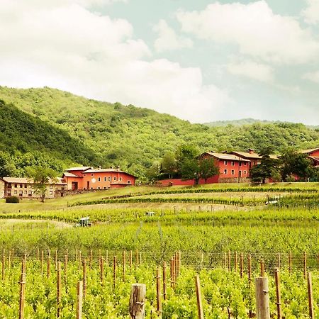 Agriturismo l'Uva e le Stelle Faedis Esterno foto
