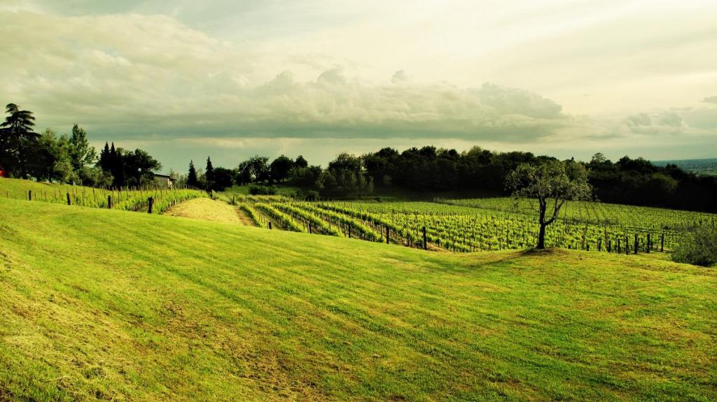 Agriturismo l'Uva e le Stelle Faedis Esterno foto