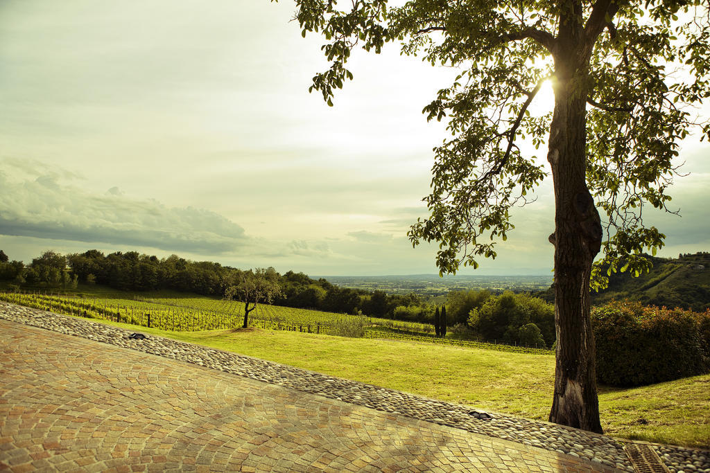Agriturismo l'Uva e le Stelle Faedis Esterno foto