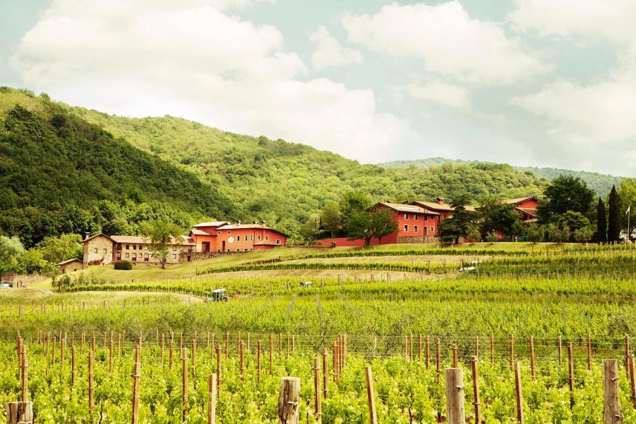 Agriturismo l'Uva e le Stelle Faedis Esterno foto