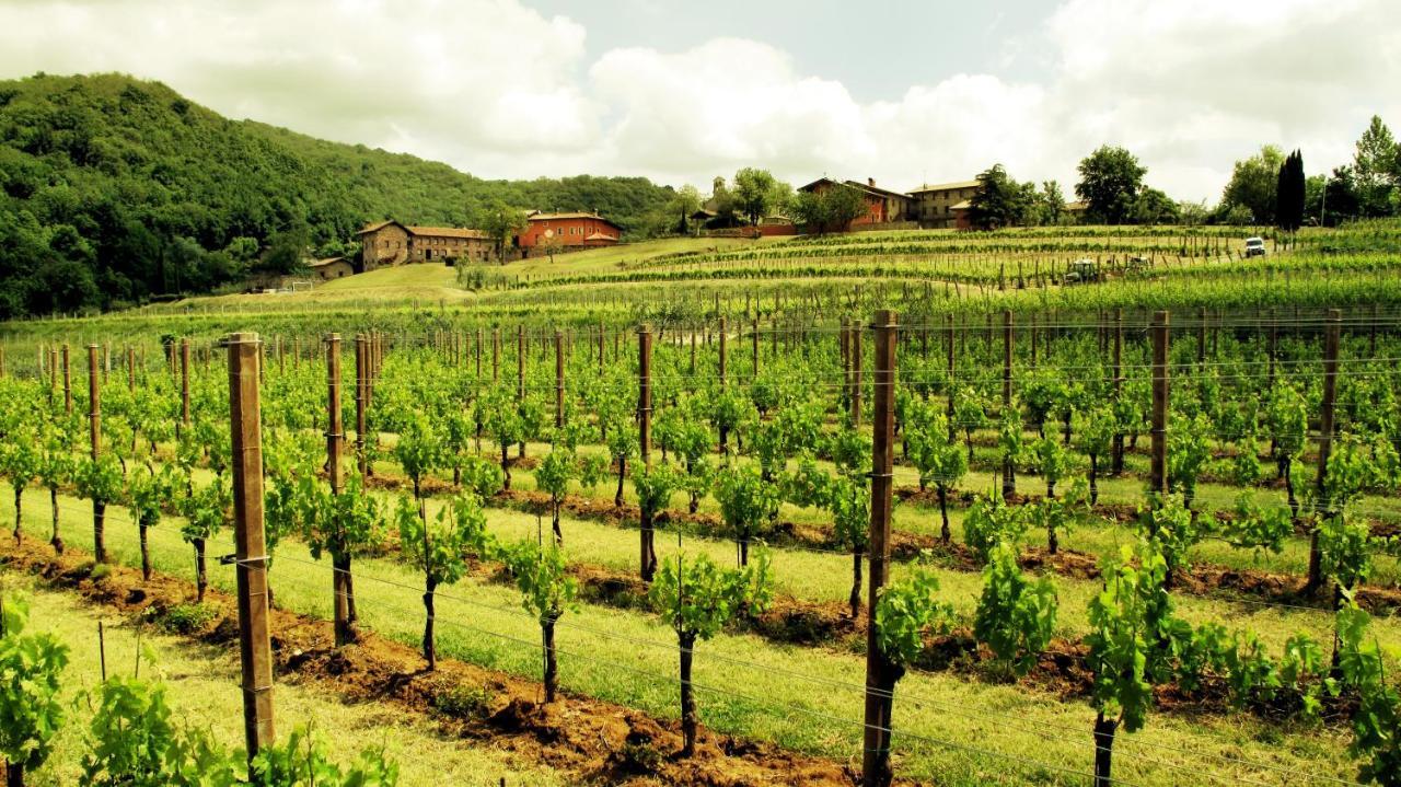 Agriturismo l'Uva e le Stelle Faedis Esterno foto