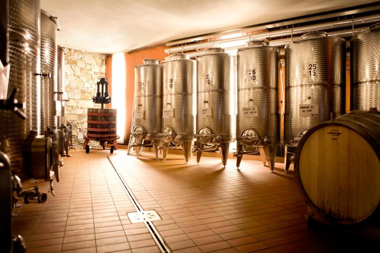 Agriturismo l'Uva e le Stelle Faedis Esterno foto